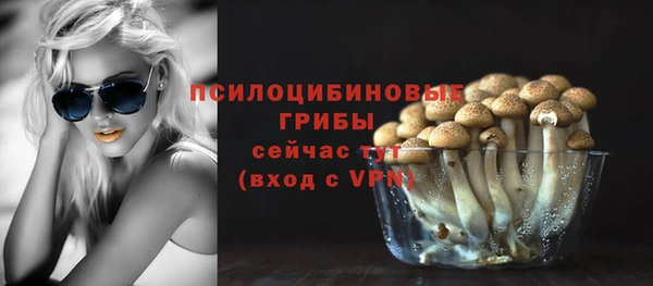 гидропоника Михайловка